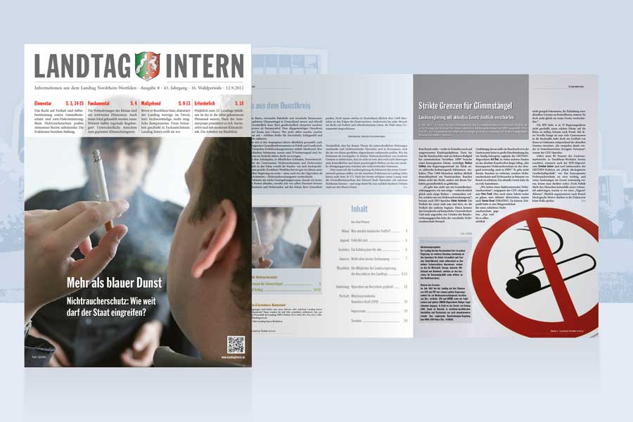 Landtag Intern Teaser