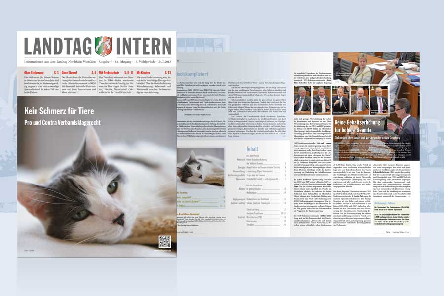 Landtag Intern Teaser
